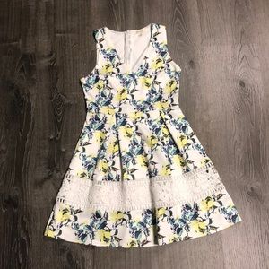 NEW floral scuba dress